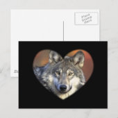 Gray Wolf Briefkaart (Voorkant / Achterkant)