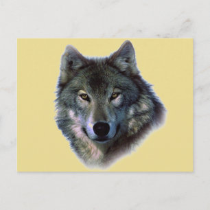 Gray Wolf Briefkaart