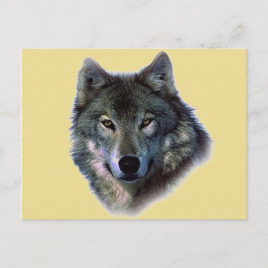 Gray Wolf Briefkaart (Voorkant)