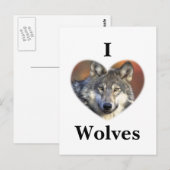 Gray Wolf Briefkaart (Voorkant / Achterkant)