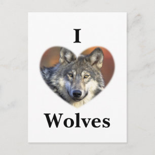 Gray Wolf Briefkaart