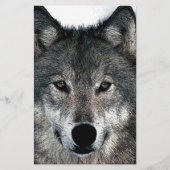 Gray Wolf Briefpapier (Voorkant)