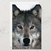Gray Wolf Briefpapier (Voorkant / Achterkant)