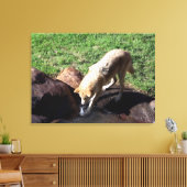 Gray Wolf Canvas (Insitu (Woonkamer))
