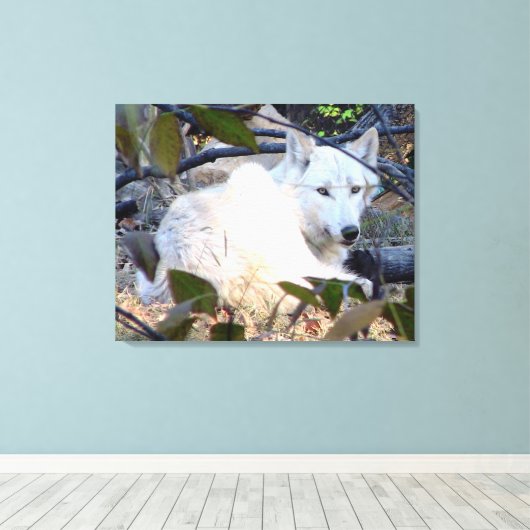 Gray Wolf Canvas (Insitu (Houten vloer))
