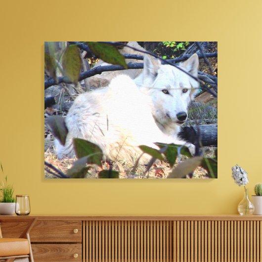 Gray Wolf Canvas (Insitu (Woonkamer))