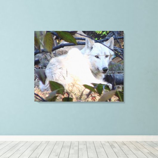 Gray Wolf Canvas (Insitu (Houten vloer))