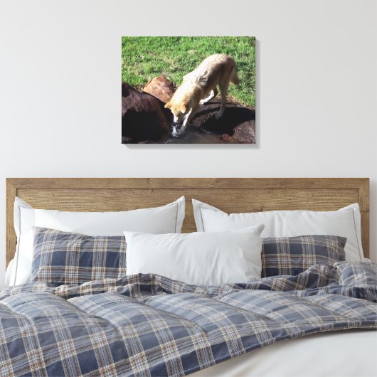 Gray Wolf Canvas Afdruk (Insitu (Slaapkamer))