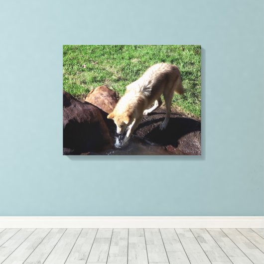 Gray Wolf Canvas Afdruk (Insitu (Houten vloer))