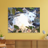 Gray Wolf Canvas Afdruk (Insitu (Woonkamer))
