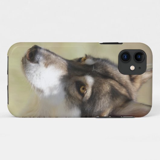 Gray Wolf Case-Mate iPhone Case (Achterkant (horizontaal))