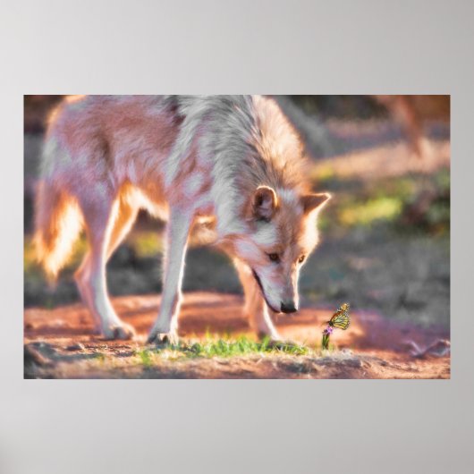 GRAY WOLF COLORFUL ENCOUNTER POSTER (Voorkant)