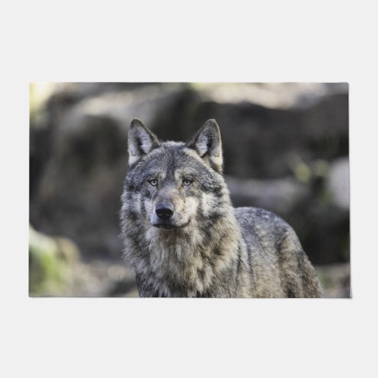 Gray Wolf Deurmat (Voorkant)