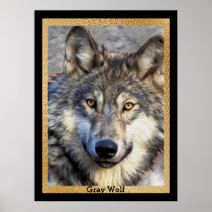 Gray Wolf Dignity Poster