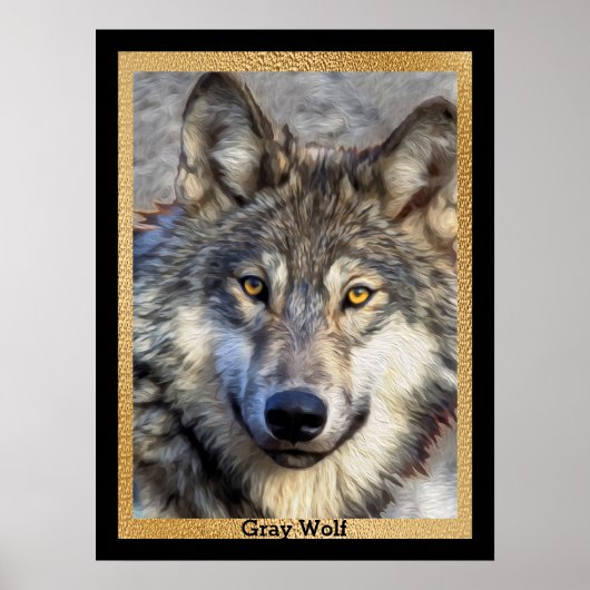 Gray Wolf Dignity Poster (Voorkant)