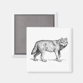 Gray Wolf Elegant Ink Tekening Magneet (Voorkant / Achterkant)