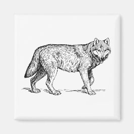 Gray Wolf Elegant Ink Tekening Magneet