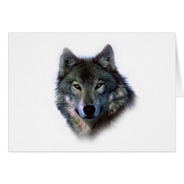 Gray Wolf Eyes (Voorkant Horizontaal)