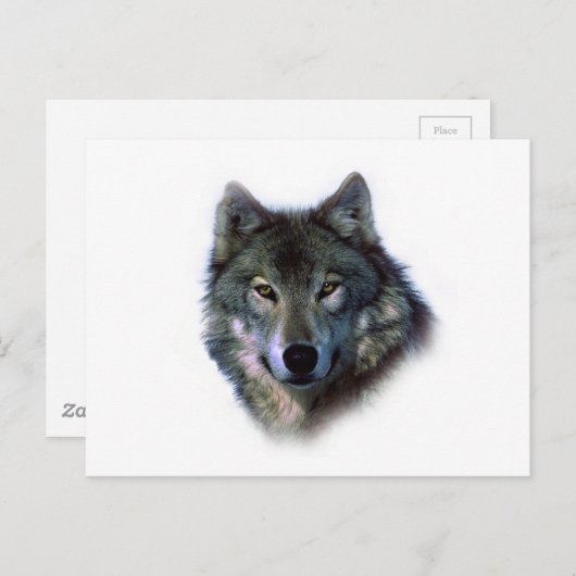 Gray Wolf Eyes Briefkaart (Voorkant / Achterkant)