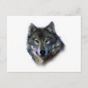 Gray Wolf Eyes Briefkaart