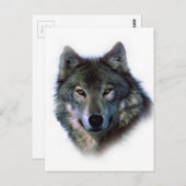 Gray Wolf Eyes Briefkaart (Voorkant / Achterkant)