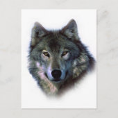 Gray Wolf Eyes Briefkaart (Voorkant)