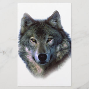 Gray Wolf Eyes Briefpapier