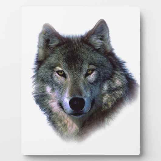 Gray Wolf Eyes Fotoplaat (Voorkant)