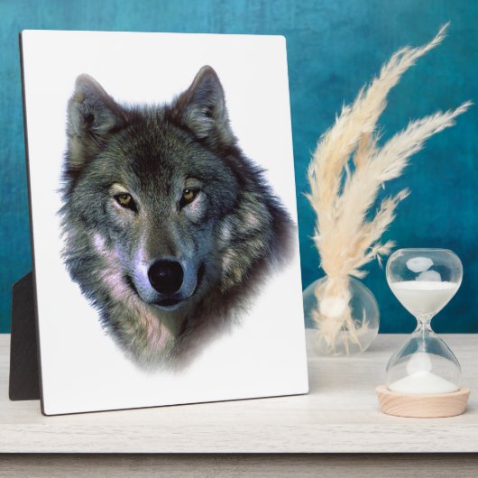 Gray Wolf Eyes Fotoplaat (Zijkant)