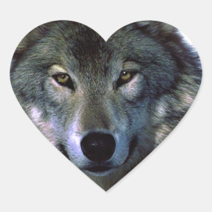 Gray Wolf Eyes Hart Sticker
