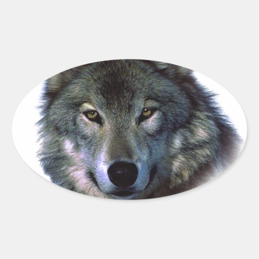 Gray Wolf Eyes Ovale Sticker (Voorkant)