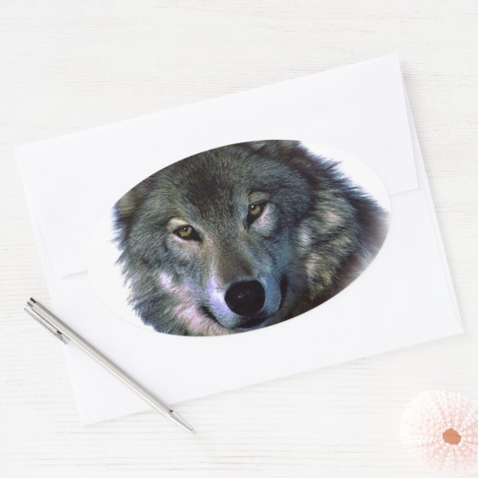 Gray Wolf Eyes Ovale Sticker (Envelop)