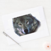 Gray Wolf Eyes Rechthoekige Sticker (Envelop)