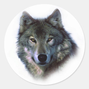 Gray Wolf Eyes Ronde Sticker