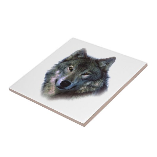 Gray Wolf Eyes Tegeltje (Zijkant)