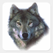 Gray Wolf Eyes Vierkante Sticker (Voorkant)