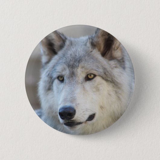 Gray Wolf Face Ronde Button 5,7 Cm (Voorkant)