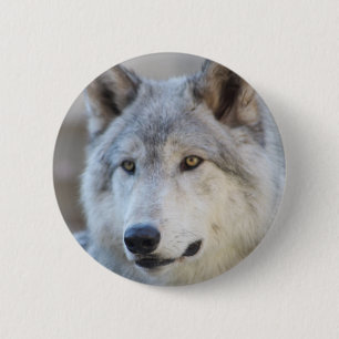 Gray Wolf Face Ronde Button 5,7 Cm