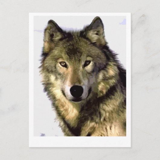 Gray Wolf Feestdagenkaart (Voorkant)