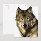 Gray Wolf Feestdagenkaart (Voorkant / Achterkant)