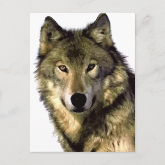 Gray Wolf Feestdagenkaart (Voorkant)