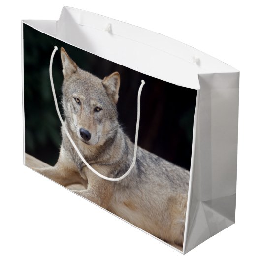 Gray Wolf Gift Bag Large Cadeautasje (Achterkant Gekanteld)