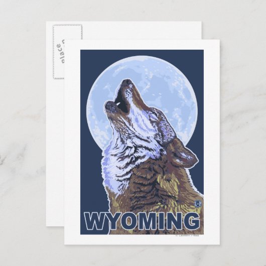 Gray Wolf Howling Wyoming Briefkaart (Voorkant / Achterkant)