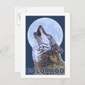 Gray Wolf HowlingColorado Briefkaart (Voorkant / Achterkant)