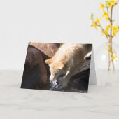 Gray Wolf Kaart (Gele Bloem)