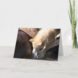 Gray Wolf Kaart