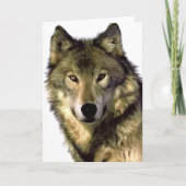 Gray Wolf Kaart (Voorkant)
