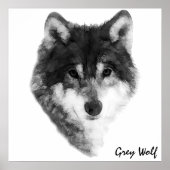 Gray Wolf klassieker Poster (Voorkant)