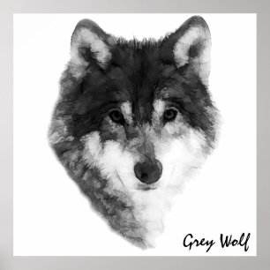 Gray Wolf klassieker Poster