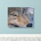 Gray Wolf Lovers Canvas Afdruk (Insitu (Houten vloer))